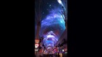 Fremont Experience